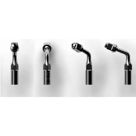 E1 EMS  / WOODPECKER / MECTRON ENDO b®