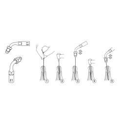 E1 EMS  / WOODPECKER / MECTRON ENDO b®